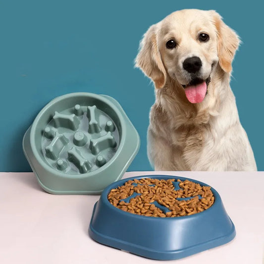 Healthy Pace Feeding Bowl