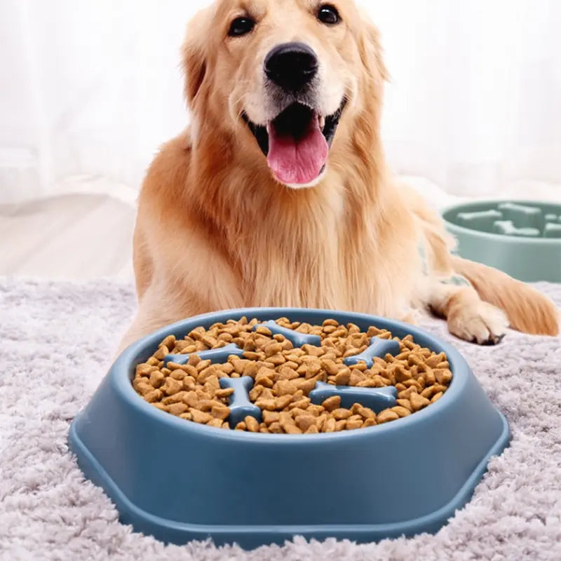 Healthy Pace Feeding Bowl