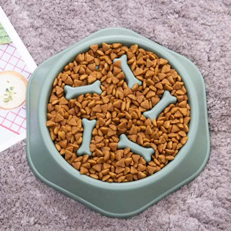 Healthy Pace Feeding Bowl
